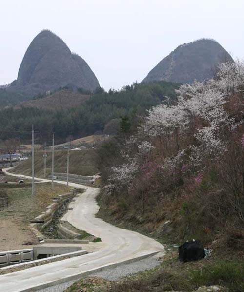 마이산의 봄풍경, 전봇대가 없었다면 보다 낭만적인 공간이 되었을듯... 